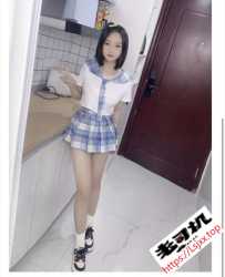 禅城魁奇路小野猫