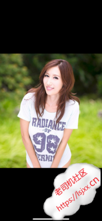 常规出击西朗百合