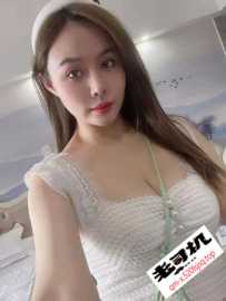 南海金沙洲燕儿